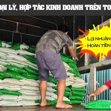 Tuyển đại lý gạo Thần Nông